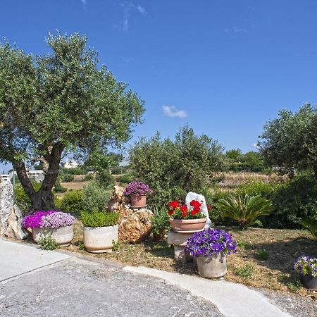 אלברובלו B&B Il Brigante מראה חיצוני תמונה