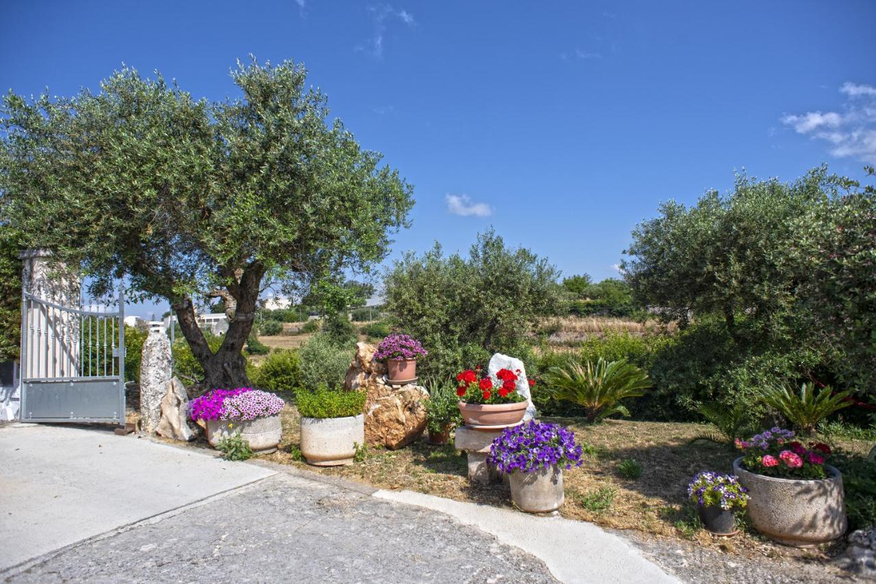 אלברובלו B&B Il Brigante מראה חיצוני תמונה