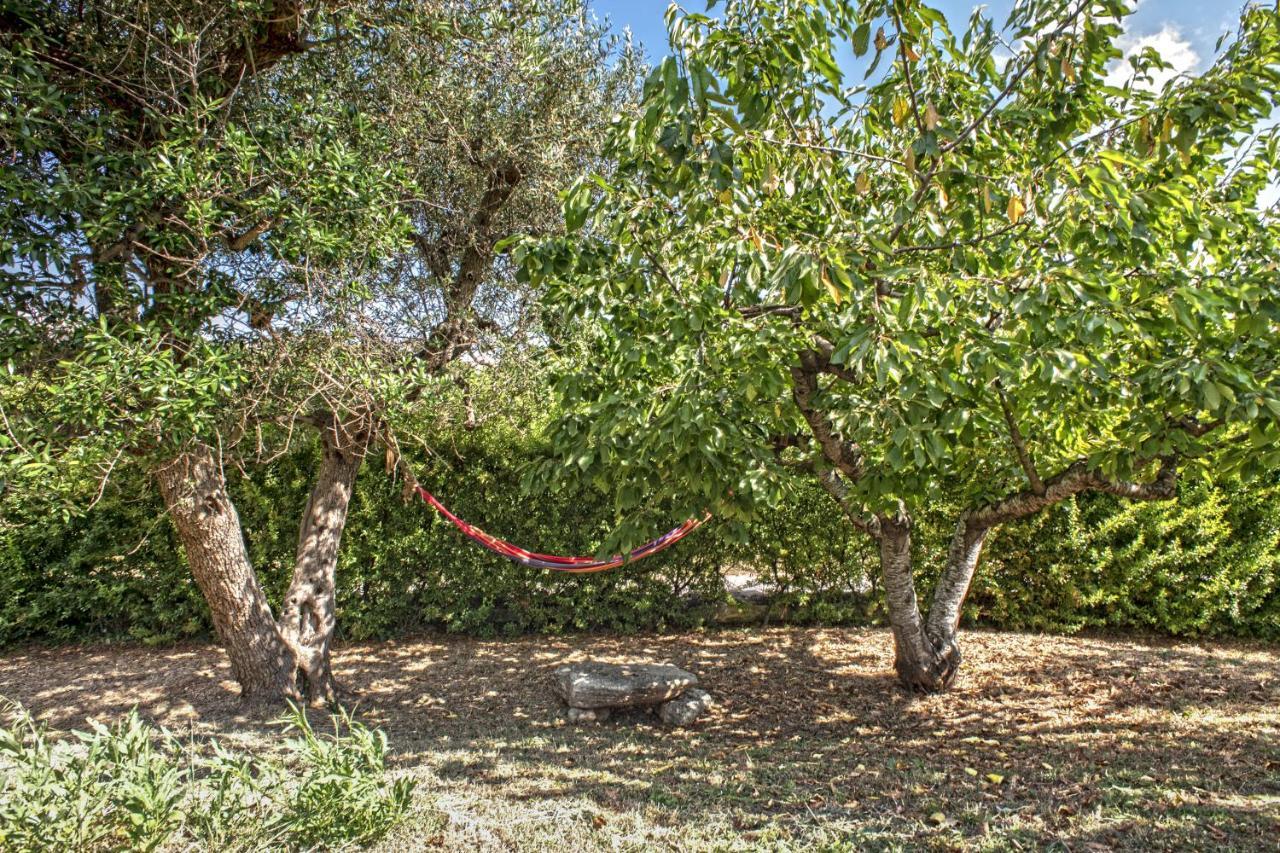 אלברובלו B&B Il Brigante מראה חיצוני תמונה