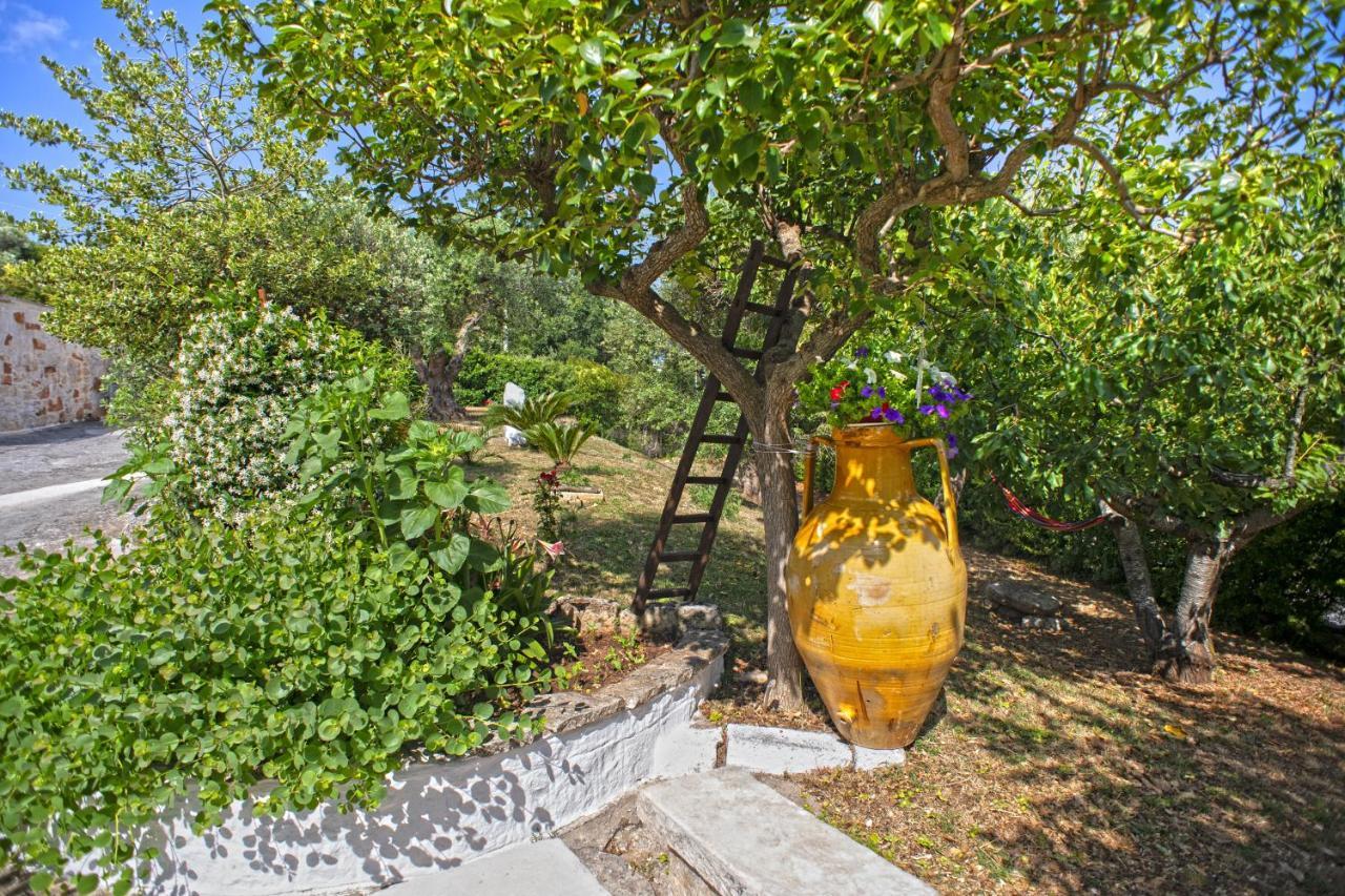 אלברובלו B&B Il Brigante מראה חיצוני תמונה